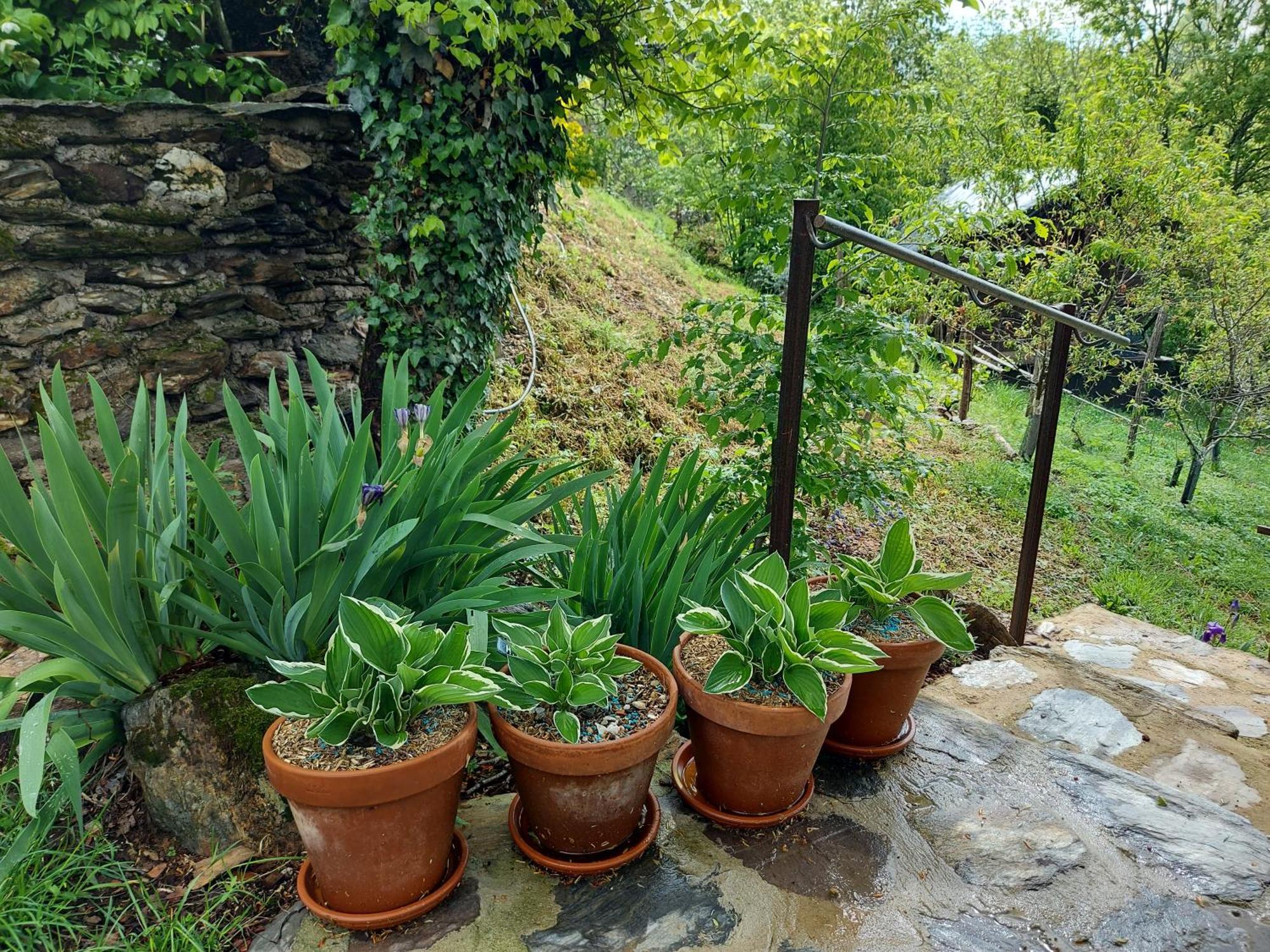 Louradou-Sur-Ciel Bed and Breakfast Jouqueviel Buitenkant foto