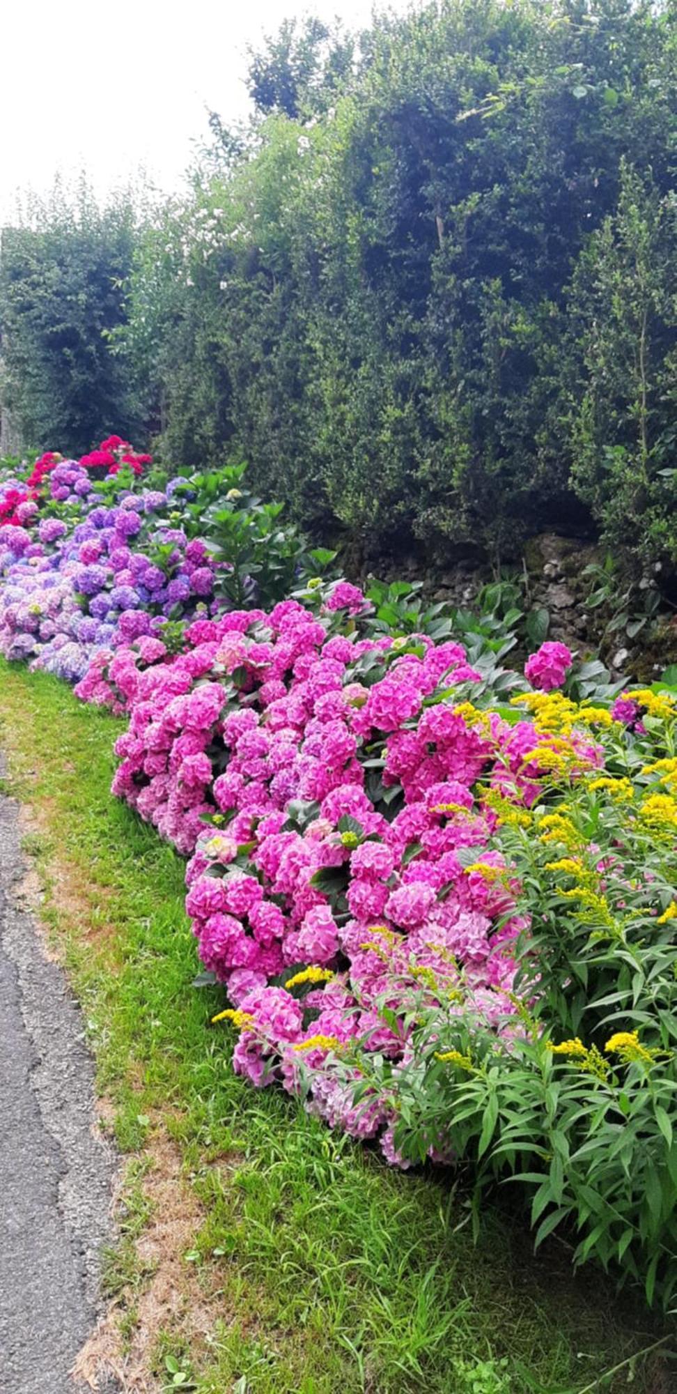Louradou-Sur-Ciel Bed and Breakfast Jouqueviel Buitenkant foto